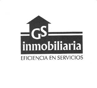 GS INMOBILIARIA