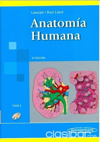 LIBROS DE MEDICINA -MED LIBROS - TEXTOS UNIVERSITARIOS Y PARA ESPECIALISTAS DE MEDICINA, ODONTOLOGÍA, QUIMICA, VETERINARIA, NUTRICION Y OTROS | Clasipar Otros en hogar, muebles y jardín - LIBROS DE MEDICINA -MED LIBROS - TEXTOS UNIVERSITARIOS Y PARA ESPECIALISTAS DE MEDICINA, ODONTOLOGÍA, QUIMICA, VETERINARIA, NUTRICION Y OTROS