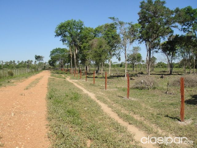 ESTANCIA FORMADA EN VILLETA - A 50 KILÓMETROS DE ASUNCIÓN SOBRE RUTA ASFALTADA - 685 HECTÁREAS | Clasipar Propiedades rurales - ESTANCIA FORMADA EN VILLETA - A 50 KILÓMETROS DE ASUNCIÓN SOBRE RUTA ASFALTADA - 685 HECTÁREAS
