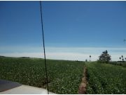ALTO PARANA TERRENO DE 70 HAS ENTRE SANTA RITA Y CRUSE KM 30 ALTO PARANA TERRENO DE 70 HAS ENTRE SANTA RITA Y CRUSE KM 30