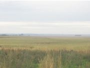1.500 has Dpto de PARAGUARI a 2.000 mts del asfalto 1.500 has Dpto de PARAGUARI a 2.000 mts del asfalto