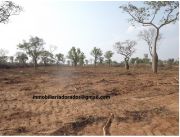 16.000 hectareas - AGUA DULCE CHACO 16.000 hectareas - AGUA DULCE CHACO