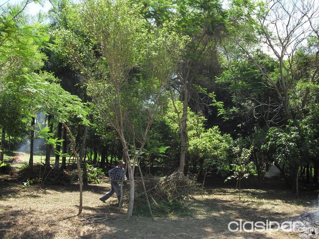 SERVICIOS GENERALES: LIMPIEZA DE LOTES, QUINTAS, CAMPOS, JARDINES! | Clasipar Otros Servicios - SERVICIOS GENERALES: LIMPIEZA DE LOTES, QUINTAS, CAMPOS, JARDINES!
