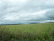 VENDO EN PARAGUARI TERRENO DE 800 HAS SOBRE RUTA ASFALTADA VENDO EN PARAGUARI TERRENO DE 800 HAS SOBRE RUTA ASFALTADA