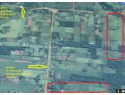 VENDO dos propiedades de 10ha y 14ha zona Caaguazu !!! VENDO dos propiedades de 10ha y 14ha zona Caaguazu !!!