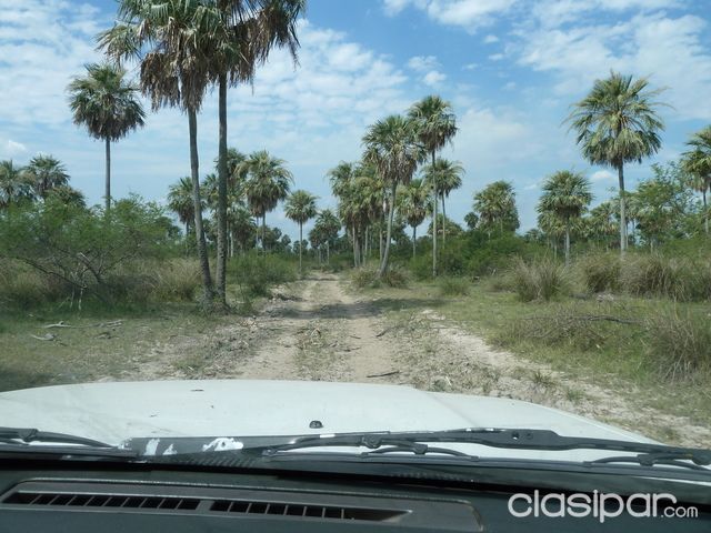 ZONA POZO AZUL - ESTANCIA 2.000 Has. | Clasipar Propiedades rurales - ZONA POZO AZUL - ESTANCIA 2.000 Has.