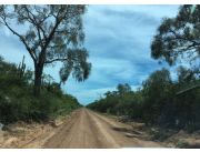 AGUA DULCE - LA GERENZA CHACO 12.000 HECTAREAS AGUA DULCE - LA GERENZA CHACO 12.000 HECTAREAS