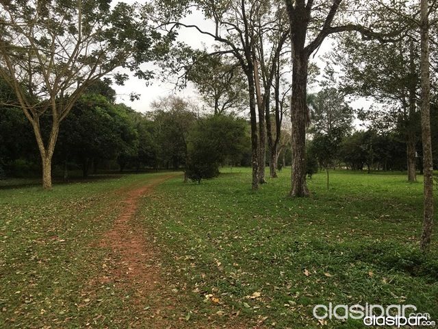 Vendo Granja sobre el lago Acaray en el Km 9 | Clasipar Propiedades rurales - Vendo Granja sobre el lago Acaray en el Km 9