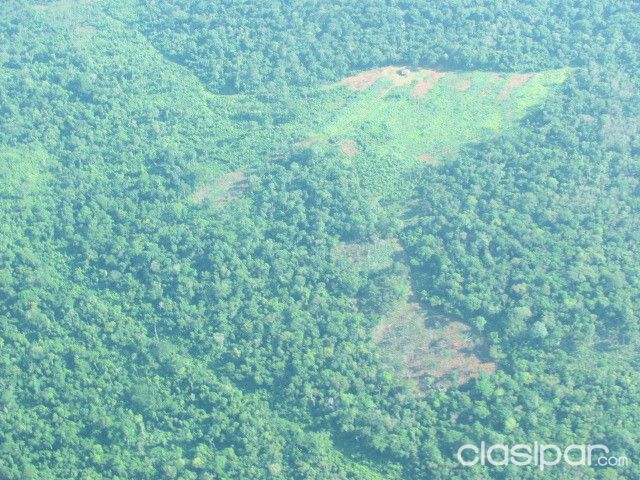 AMAMBAY / P.J CABALLERO : ESTABLECIMIENTO GANADERO AGRICOLA - 8.528 HAS | Clasipar Propiedades rurales - AMAMBAY / P.J CABALLERO : ESTABLECIMIENTO GANADERO AGRICOLA - 8.528 HAS
