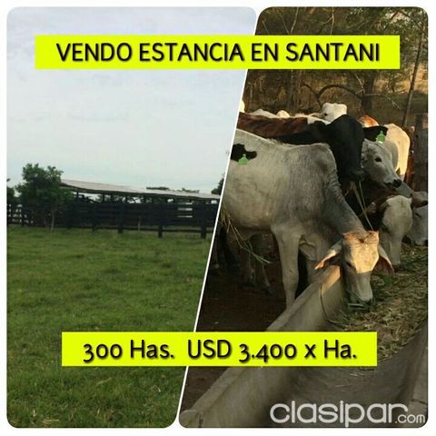 SANTANI: ESTANCIA FORMADA - 300 HAS - 3.400 USD/HA | Clasipar Propiedades rurales - SANTANI: ESTANCIA FORMADA - 300 HAS - 3.400 USD/HA