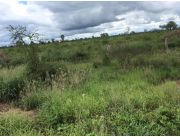 BOQUERON (FILADELFIA) / PARQUE NACIONAL: 4.000 HECT EN VENTA (TITULADAS) BOQUERON (FILADELFIA) / PARQUE NACIONAL: 4.000 HECT EN VENTA (TITULADAS)