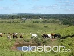 TORO PAMPA ALTO PARAGUAY, 10.309 H | Clasipar Propiedades rurales - TORO PAMPA ALTO PARAGUAY, 10.309 H