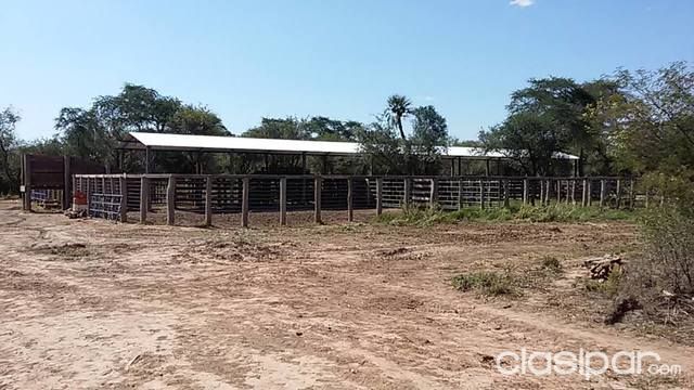CHACO CENTRAL - CAMPO GANADERO DESARROLLADO | Clasipar Propiedades rurales - CHACO CENTRAL - CAMPO GANADERO DESARROLLADO
