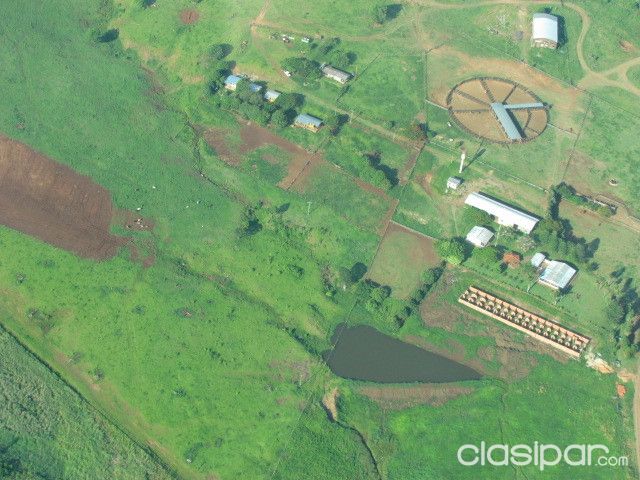 PEDRO J. CABALLERO : VENDO ESTABLECIMIENTO GANADERO AGRICOLA - 8.258 HAS - 3.500 USD/HA | Clasipar Propiedades rurales - PEDRO J. CABALLERO : VENDO ESTABLECIMIENTO GANADERO AGRICOLA - 8.258 HAS - 3.500 USD/HA