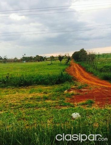 Terrenos 360 m2 a cuadra y sobre Ruta 6, Minga Guazu km. 30 | Clasipar Terrenos - Terrenos 360 m2 a cuadra y sobre Ruta 6, Minga Guazu km. 30