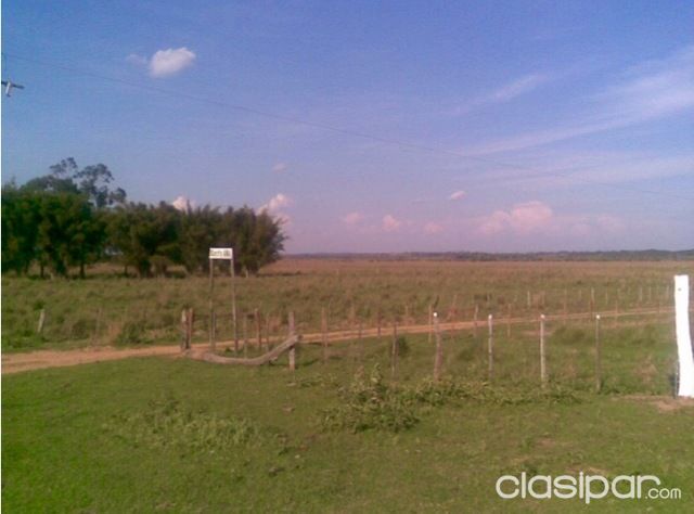 Campo Agricola - Ganadero en Mbocayaty - 275 Has. | Clasipar Propiedades rurales - Campo Agricola - Ganadero en Mbocayaty - 275 Has.