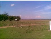 Campo Agricola - Ganadero en Mbocayaty - 275 Has. Campo Agricola - Ganadero en Mbocayaty - 275 Has.