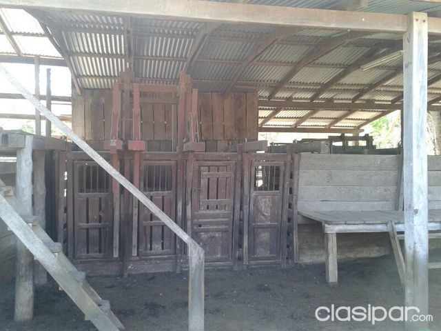 MBUYAPEY PARAGUARI: HERMOSA PROPIEDAD RURAL - 1620 HAS. S/ RIO TEBICUARY Y TEBICUARYMI - TRABAJADA !! | Clasipar Propiedades rurales - MBUYAPEY PARAGUARI: HERMOSA PROPIEDAD RURAL - 1620 HAS. S/ RIO TEBICUARY Y TEBICUARYMI - TRABAJADA !!
