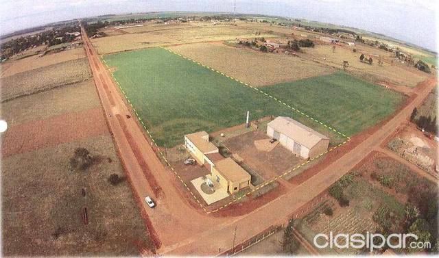 VENDO INMUEBLE SUB-URBANA - CAAGUAZU - NUEVA TOLEDO | Clasipar Depósitos - VENDO INMUEBLE SUB-URBANA - CAAGUAZU - NUEVA TOLEDO