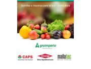 Venta de Semillas Horticolas Venta de Semillas Horticolas