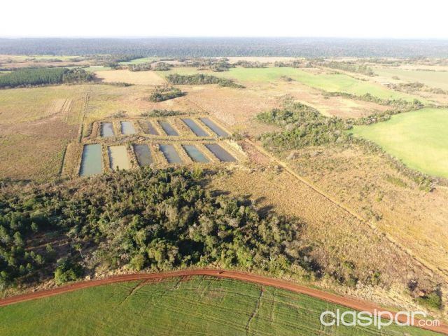 Vendo Propiedad en Cedrales | Clasipar Terrenos - Vendo Propiedad en Cedrales
