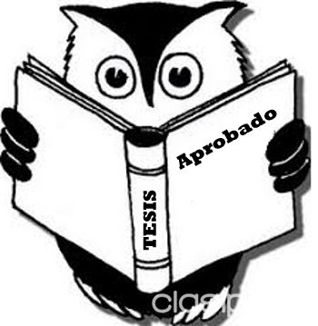 Tesis - Trabajos Practicos - Power Point | Clasipar Universitaria - Tesis - Trabajos Practicos - Power Point