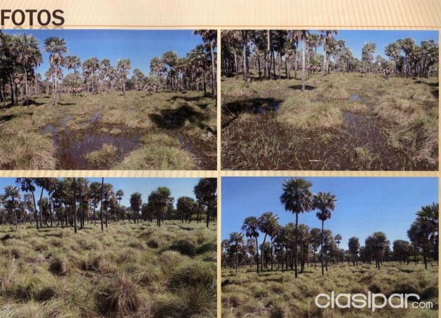 PDTE. HAYES – CHACO: VENDO 13.000 HAS INIGUALABLES (FRACCIONABLES) 1.400 USD / HA | Clasipar Propiedades rurales - PDTE. HAYES – CHACO: VENDO 13.000 HAS INIGUALABLES (FRACCIONABLES) 1.400 USD / HA