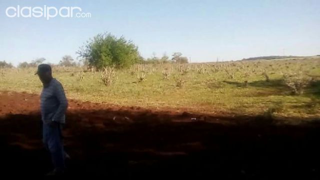 Vendo 9 hectareas mayor otaño | Clasipar Propiedades rurales - Vendo 9 hectareas mayor otaño