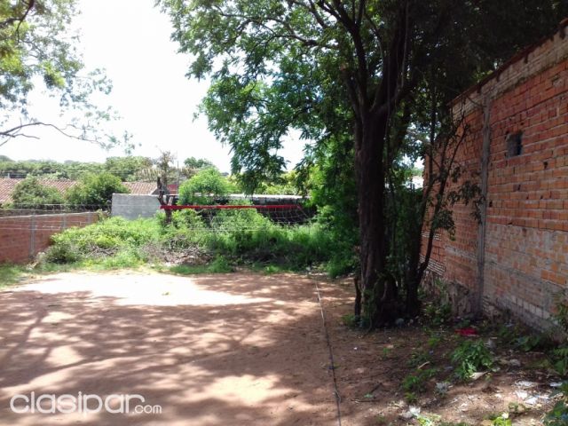 Terreno Lambaré zona Carretera Lopez | Clasipar Casas - Terreno Lambaré zona Carretera Lopez