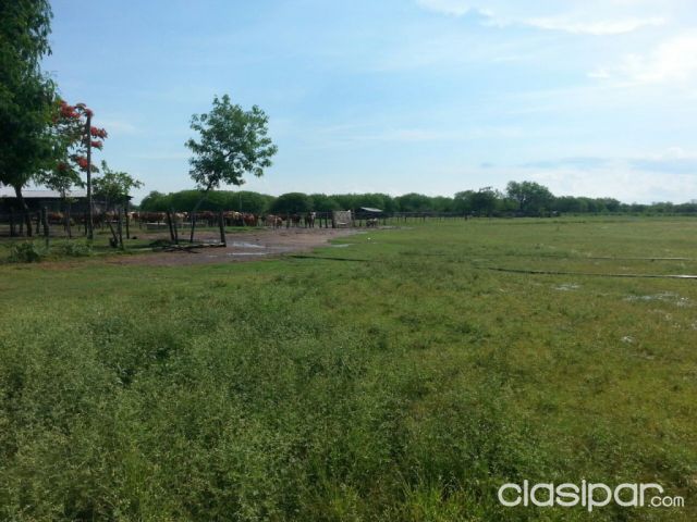 ALTO PARAGUAY – FUERTE OLIMPO (SAN SALVADOR): 5.500 HAS – TOTALMENTE DESARROLLADA – PISTA DE AVIACIÓN – 700 USD/HA | Clasipar Propiedades rurales - ALTO PARAGUAY – FUERTE OLIMPO (SAN SALVADOR): 5.500 HAS – TOTALMENTE DESARROLLADA – PISTA DE AVIACIÓN – 700 USD/HA