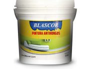 PINTURA INTERIOR ANTIHONGOS COLOR BLANCO DE LA MARCA BLASCOR PINTURA INTERIOR ANTIHONGOS COLOR BLANCO DE LA MARCA BLASCOR