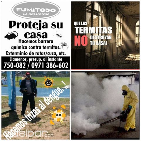 Fumigación fumitodo termitas mosquitos,ratas | Clasipar Otros Servicios - Fumigación fumitodo termitas mosquitos,ratas