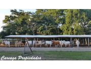 IMPERDIBLE !! VENDO HERMOSA ESTANCIA EN SANTANI 147 KM DE ASUNCIÓN 90 HECTÁREAS - CAREAGA PROPIEDADES IMPERDIBLE !! VENDO HERMOSA ESTANCIA EN SANTANI 147 KM DE ASUNCIÓN 90 HECTÁREAS - CAREAGA PROPIEDADES