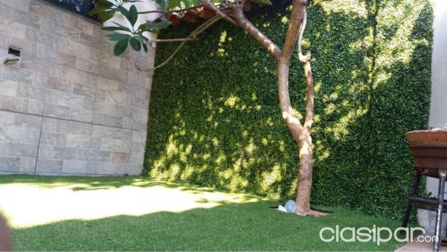jardín vertical | Clasipar Decoración - Jardín - Accesorios - jardín vertical