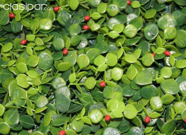jardines verticales | Clasipar Decoración - Jardín - Accesorios - jardines verticales