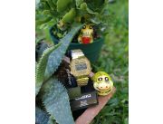 Casio Vintage Dorado - UNISEX Casio Vintage Dorado - UNISEX