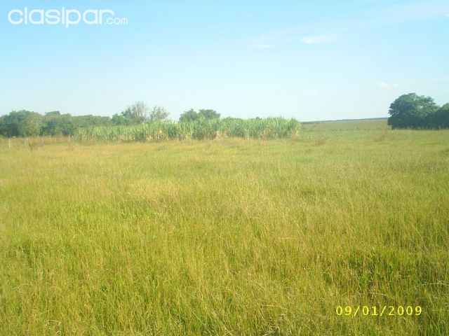 Campo Ganadero en Misiones - 987 Has. | Clasipar Propiedades rurales - Campo Ganadero en Misiones - 987 Has.