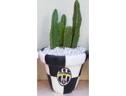TUNAS EN MACETAS - DISEÑO JUVENTUS TUNAS EN MACETAS - DISEÑO JUVENTUS