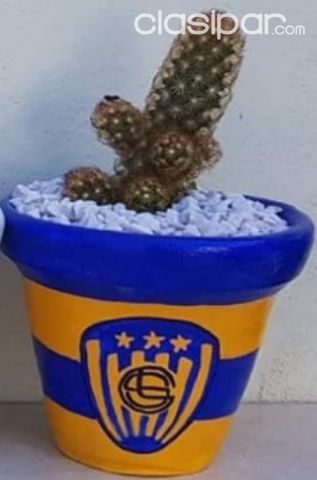 TUNAS EN MACETAS - DISEÑO CLUB SPORTIVO LUQUEÑO | Clasipar Decoración - Jardín - Accesorios - TUNAS EN MACETAS - DISEÑO CLUB SPORTIVO LUQUEÑO