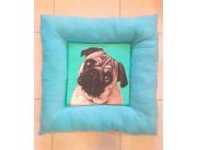 COLCHONETA PUG PARA PERRO- COLOR CELESTE COLCHONETA PUG PARA PERRO- COLOR CELESTE