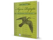 LIBRO AYVU RAPYTA LIBRO AYVU RAPYTA