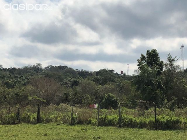 Terreno 11.000m2 lind. al Arroyo Yukyry Areguá | Clasipar Terrenos - Terreno 11.000m2 lind. al Arroyo Yukyry Areguá