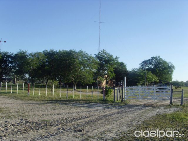 Terreno 8403 hectáreas - TRANQUERA CERRADA - CONVERSABLE | Clasipar Propiedades rurales - Terreno 8403 hectáreas - TRANQUERA CERRADA - CONVERSABLE