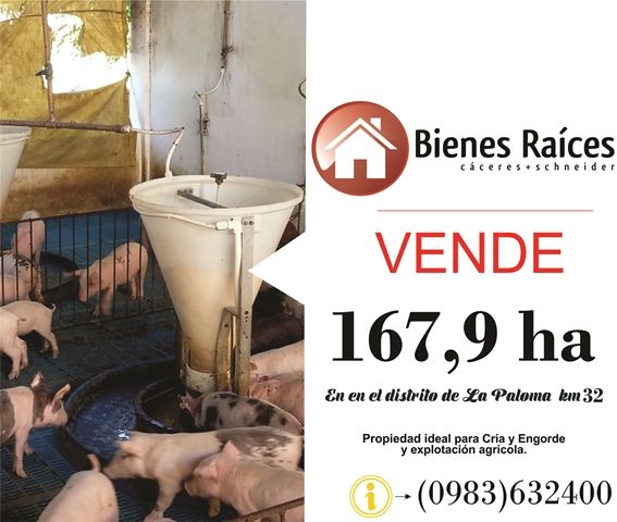167,9 ha apto para uso agropecuario | Clasipar Propiedades rurales - 167,9 ha apto para uso agropecuario