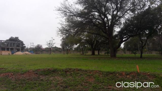 LUQUE - LIMPIO: BUSCO PARA COMPRA AMPLIO TERRENO A PARTIR DE 5 HAS, | Clasipar Terrenos - LUQUE - LIMPIO: BUSCO PARA COMPRA AMPLIO TERRENO A PARTIR DE 5 HAS,