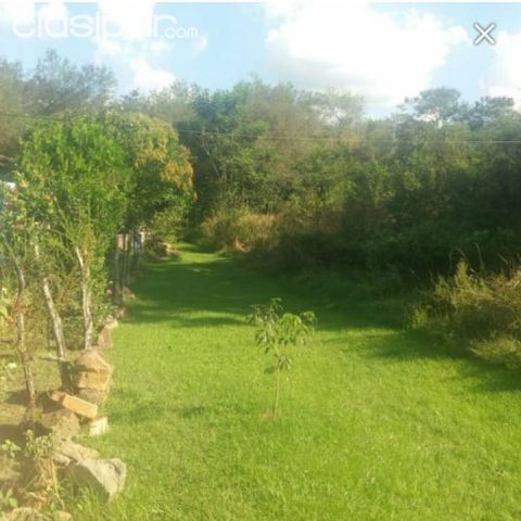 vendo terrenos en Barrio Tarumandy, Luque | Clasipar Terrenos - vendo terrenos en Barrio Tarumandy, Luque