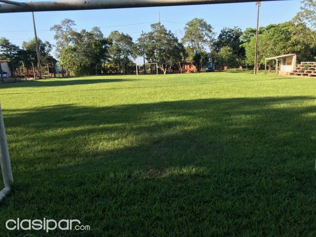 VENDO 9 TERRENOS JUNTOS SOBRE CALLE 2.000 DE CIUDAD DEL ESTE | Clasipar Terrenos - VENDO 9 TERRENOS JUNTOS SOBRE CALLE 2.000 DE CIUDAD DEL ESTE