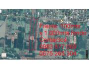 Oferto terreno en Doctor Juan Leon Mallorquin, 10 hectareas, superficie 100x1000 m2 km 260 Oferto terreno en Doctor Juan Leon Mallorquin, 10 hectareas, superficie 100x1000 m2 km 260