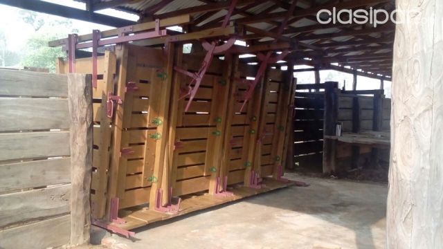 Basculas HG&Cia | Clasipar Otros Servicios - Basculas HG&Cia