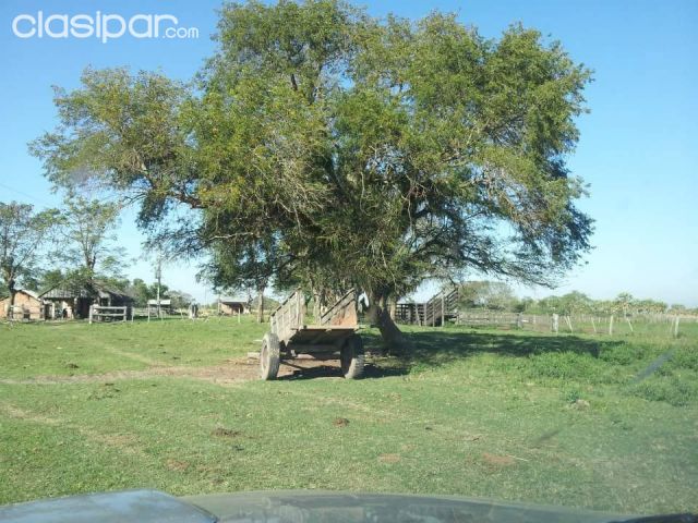 ((((((((((( 1 HORA DE ASUNCION, HERMOSO CAMPO ))))))))))) | Clasipar Propiedades rurales - ((((((((((( 1 HORA DE ASUNCION, HERMOSO CAMPO )))))))))))